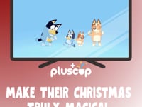 Merry Christmas & Happy New Year